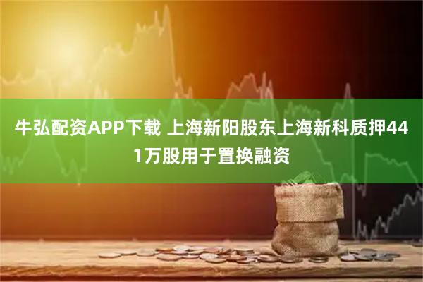 牛弘配资APP下载 上海新阳股东上海新科质押441万股用于置换融资