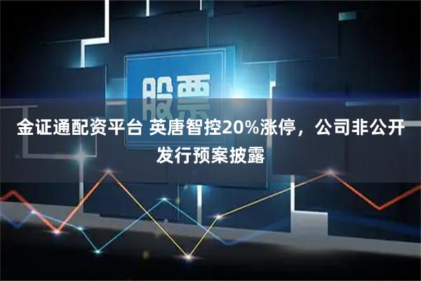 金证通配资平台 英唐智控20%涨停,公司非公开发行预案披露
