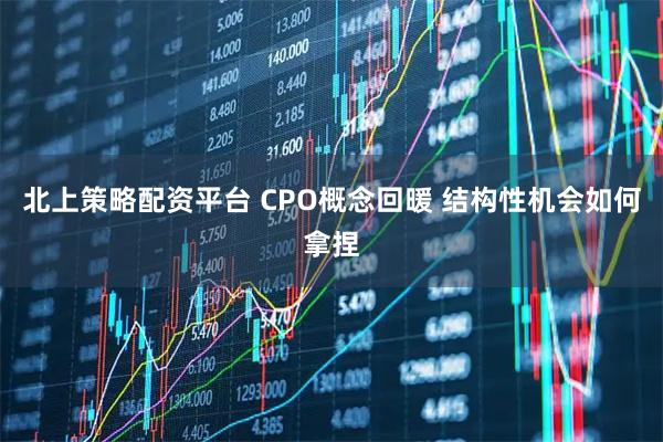 北上策略配资平台 CPO概念回暖 结构性机会如何拿捏