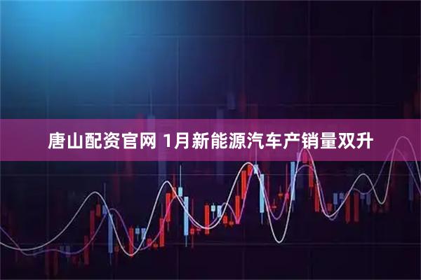 唐山配资官网 1月新能源汽车产销量双升