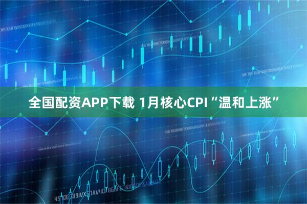 全国配资APP下载 1月核心CPI“温和上涨”